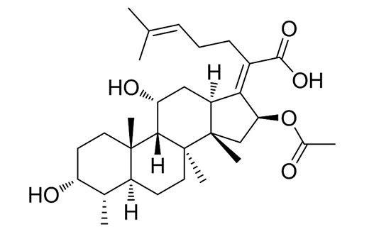 Fusidic acid