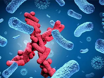 Nitrofurazon Bakterileri Nasıl Engeller?