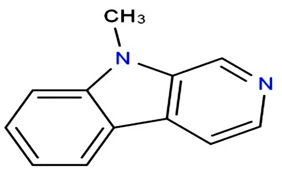 9-Me-BC