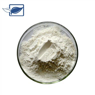 Saw Palmetto Meyve Özü Tozu