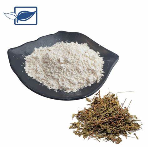 Dihidromirisetin Tozu